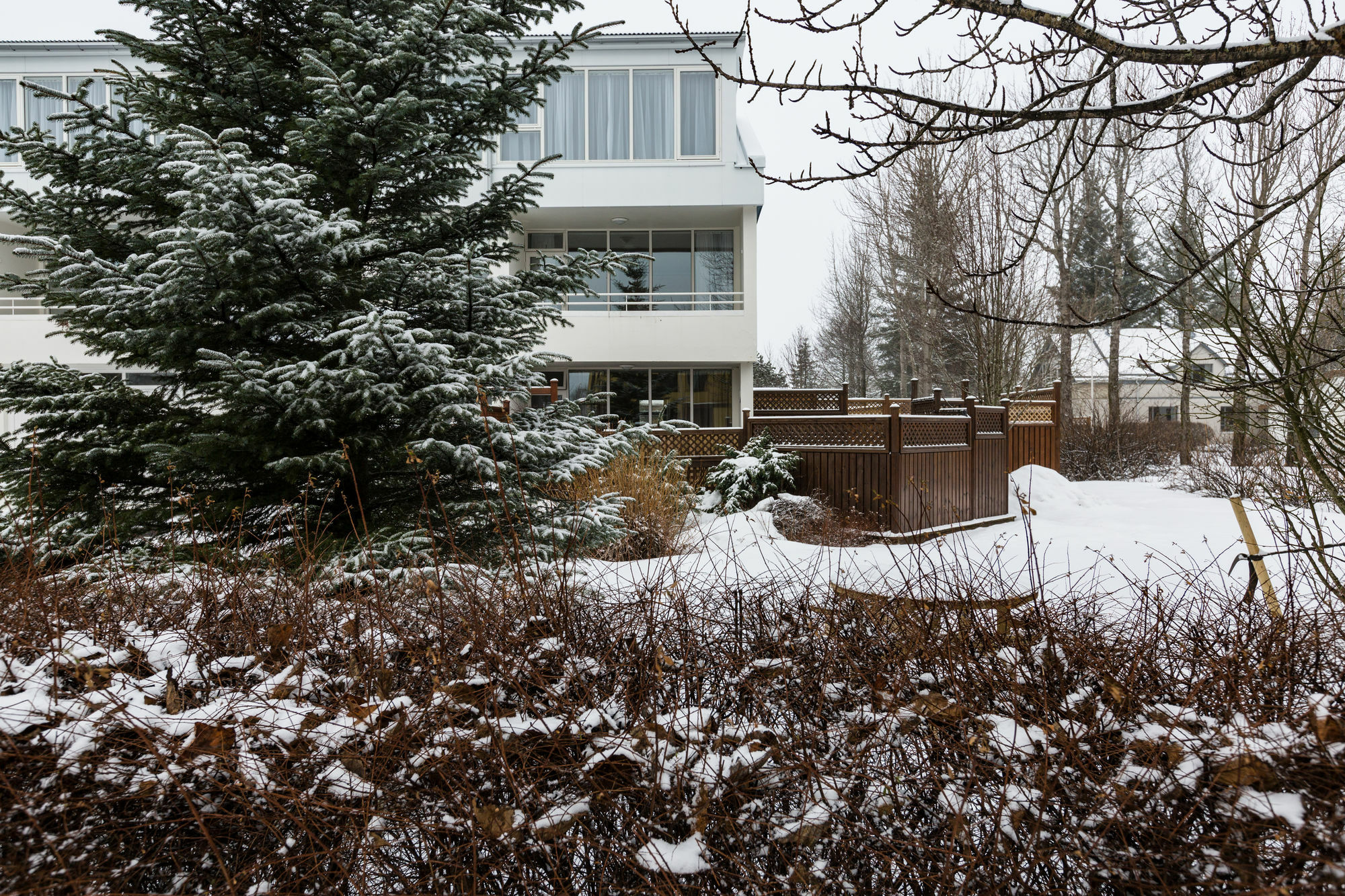 Guesthouse Garun Skolavellir Selfoss Exterior foto